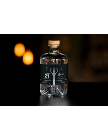 Gin Enmienda 21, Aniversario